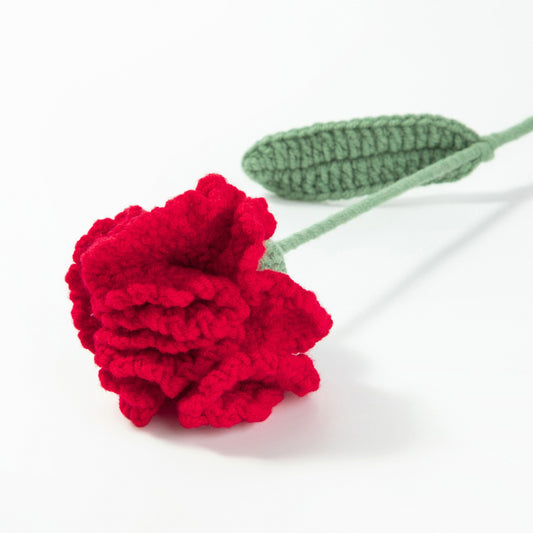 Red Carnation