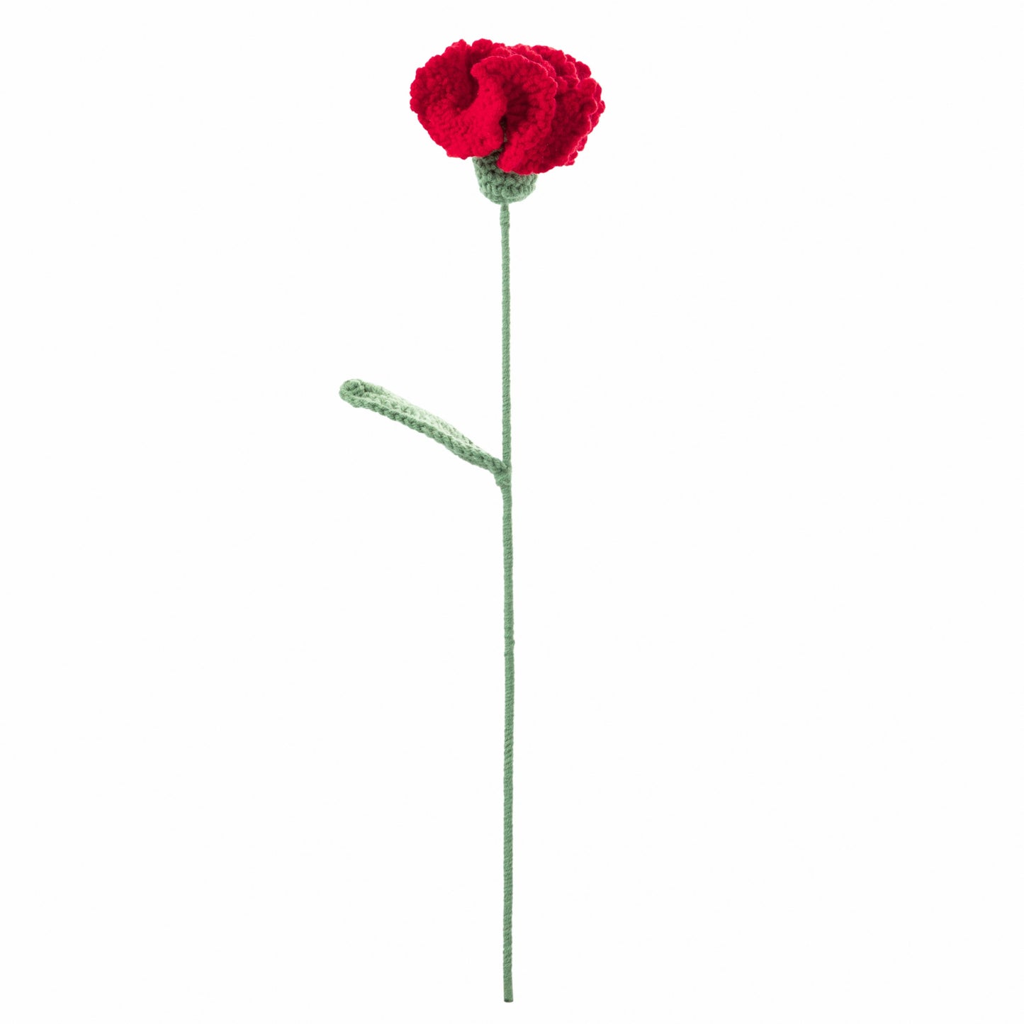 Red Carnation