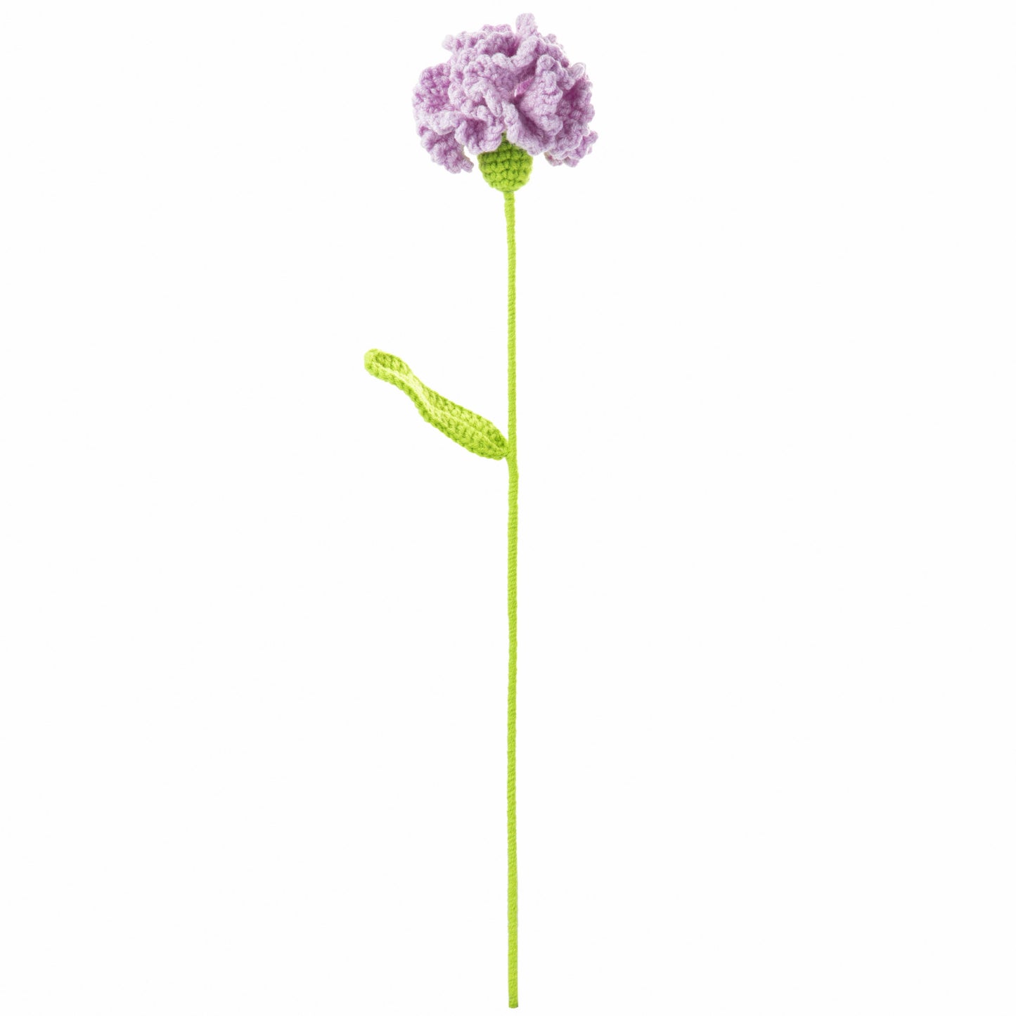 Purple Carnation