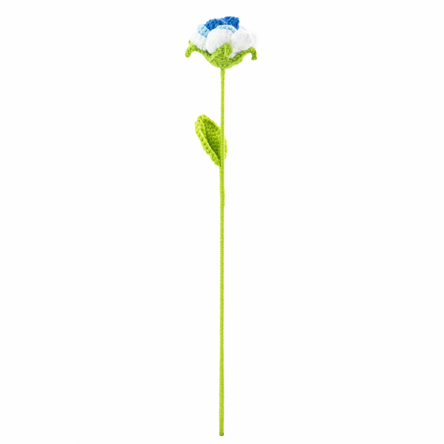 Blue-White Rose