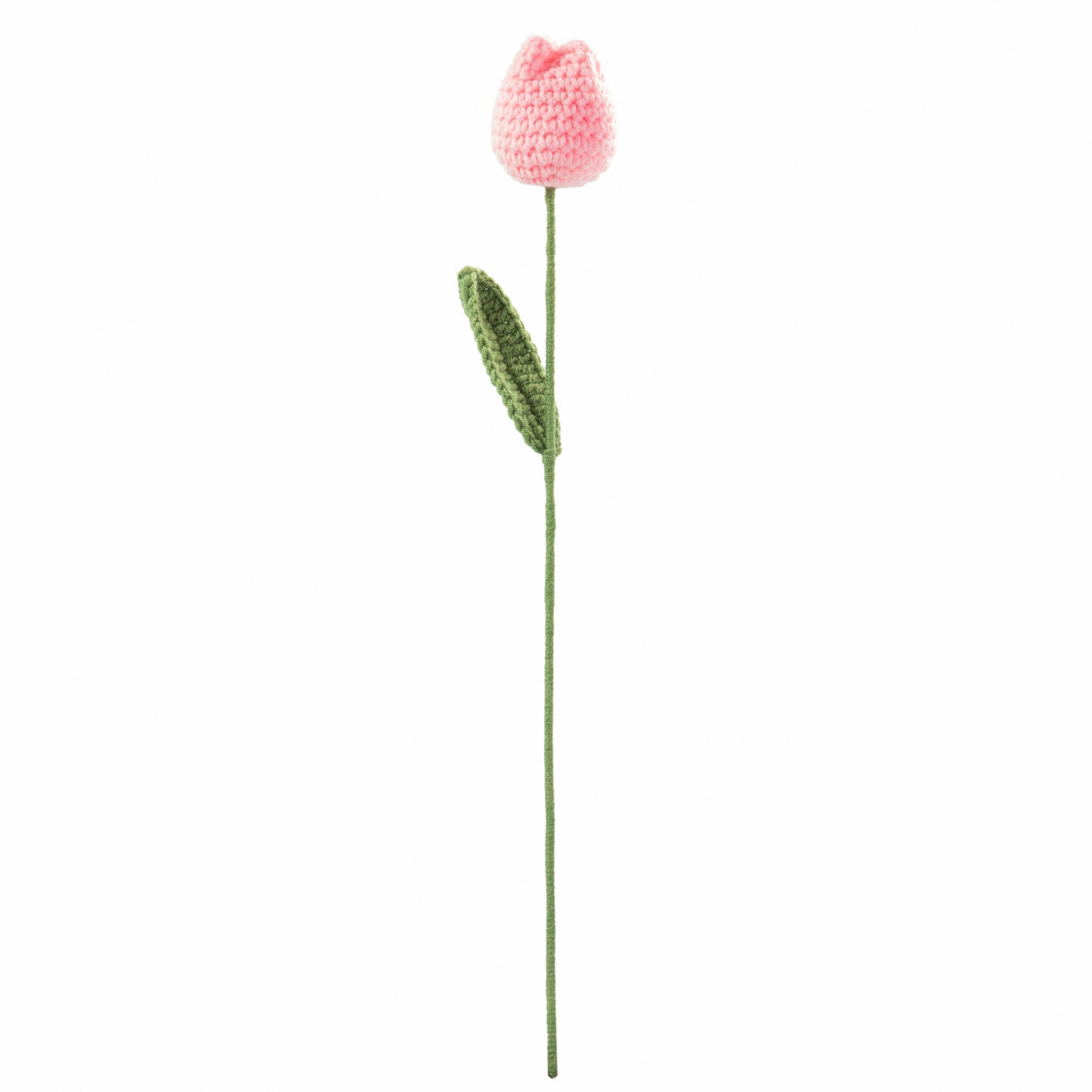 Nude Pink Tulip1