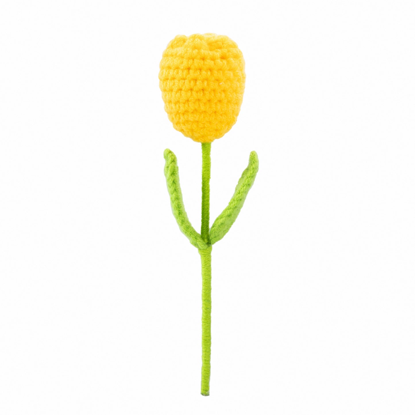 Yellow Tulip