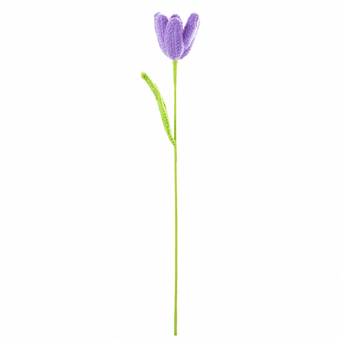 Purple Tulip2