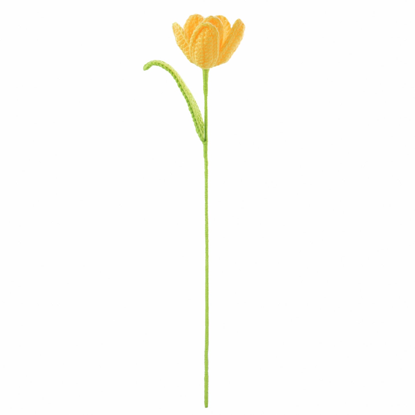 Yellow Tulip2