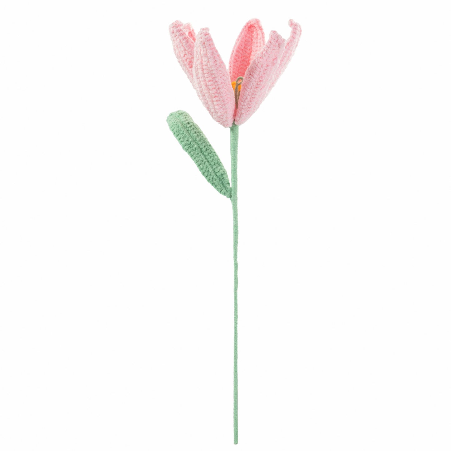 Nude Pink Tulip3