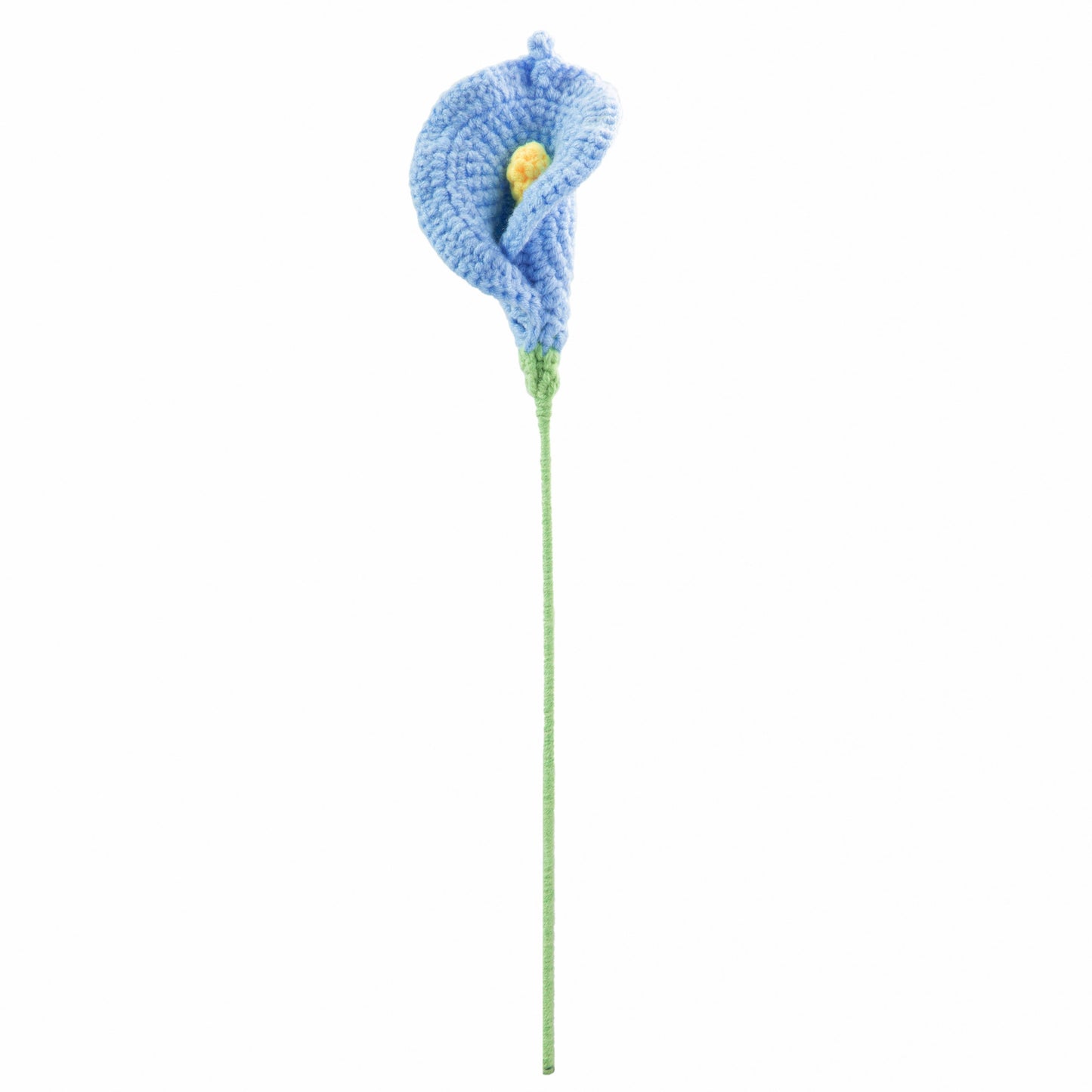 Blue Calla lily