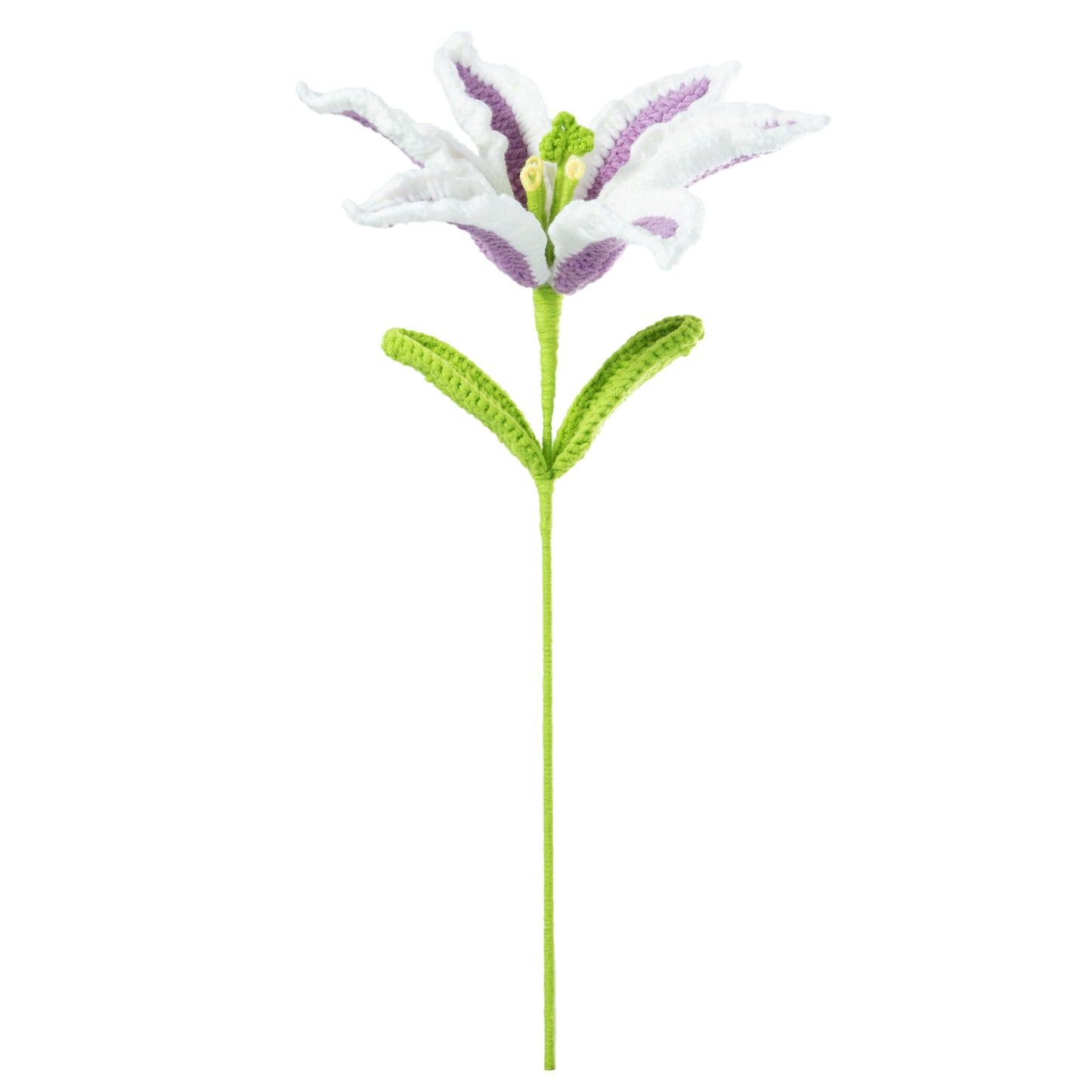 Pruple-White Lily