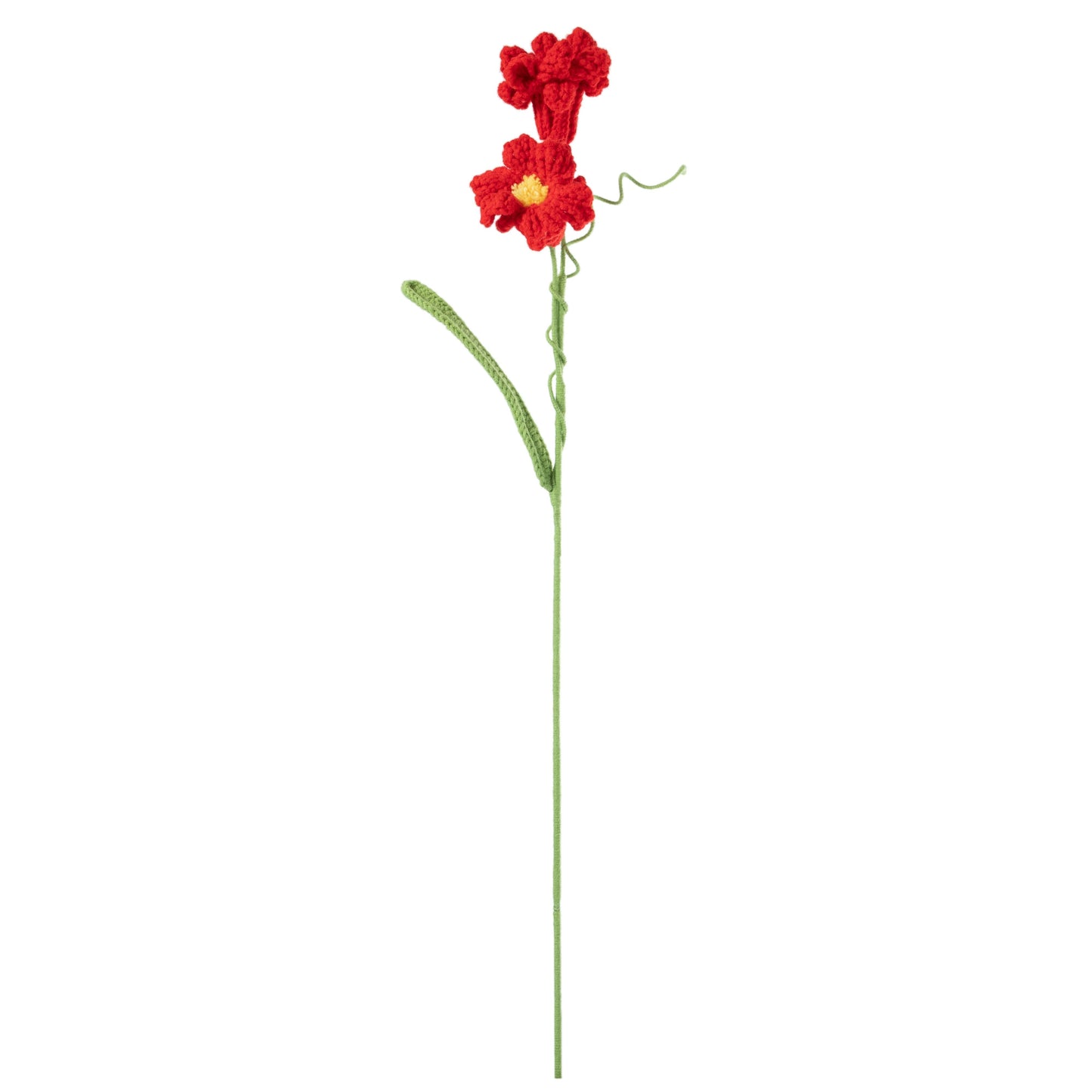 Daffodil Red