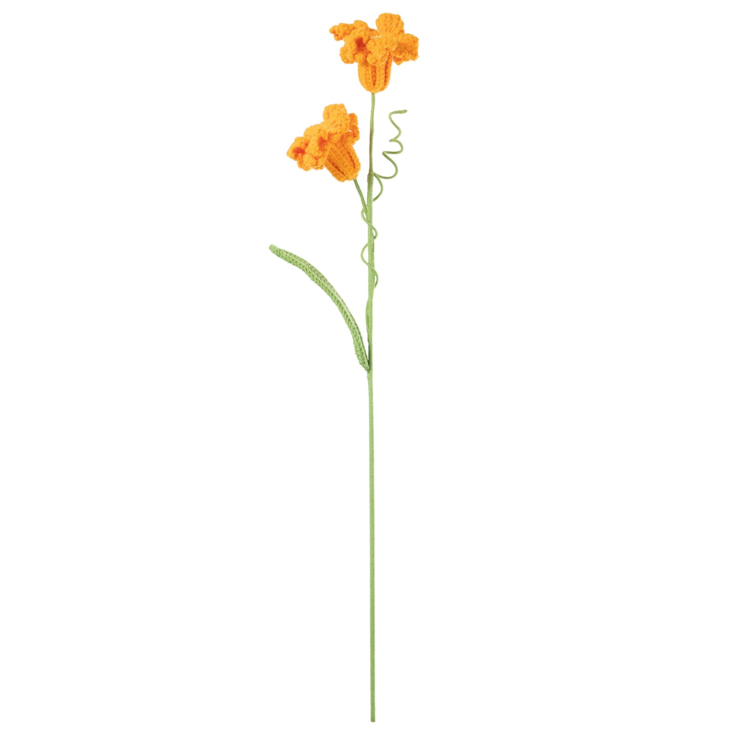 Daffodil Orange