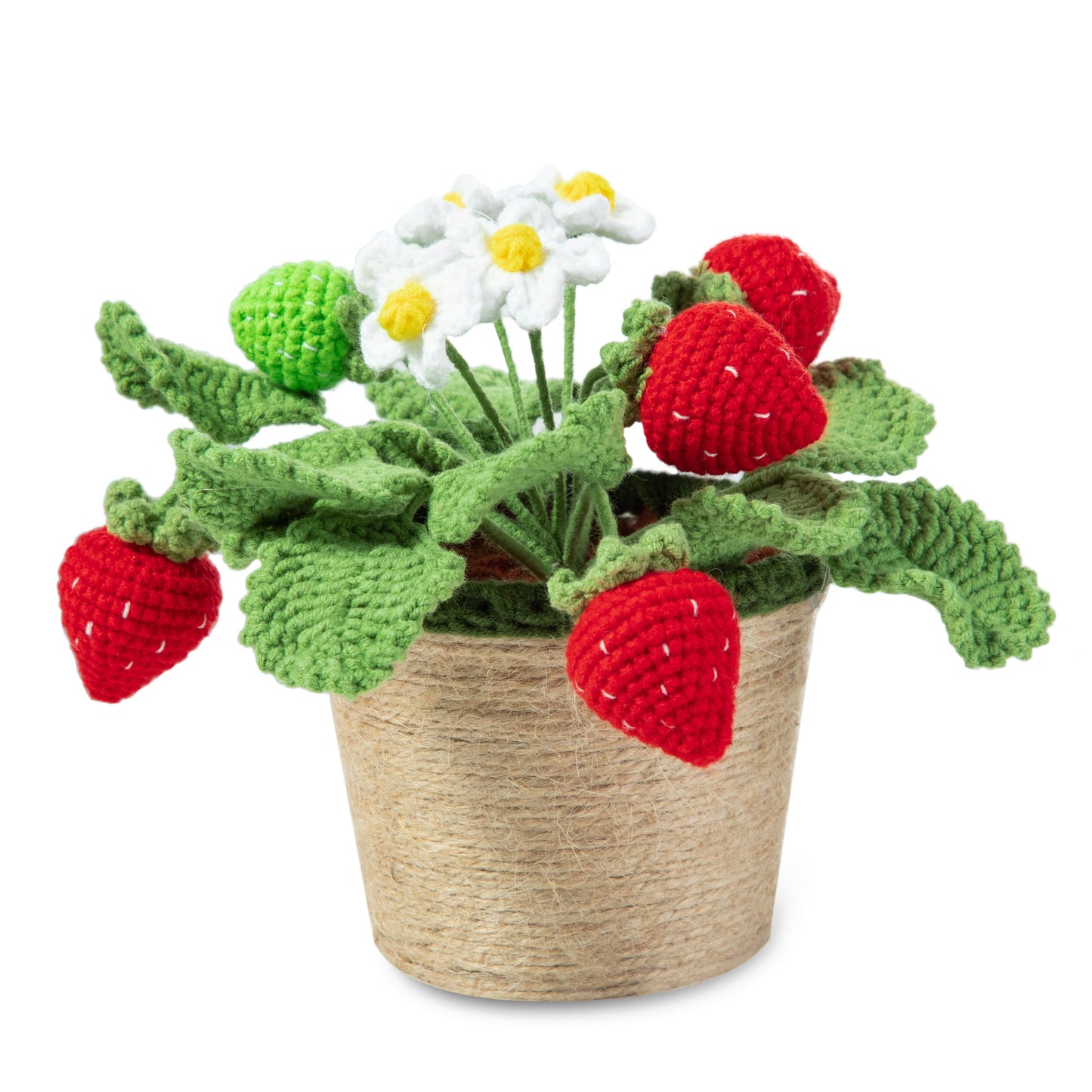 Strawberry Pot