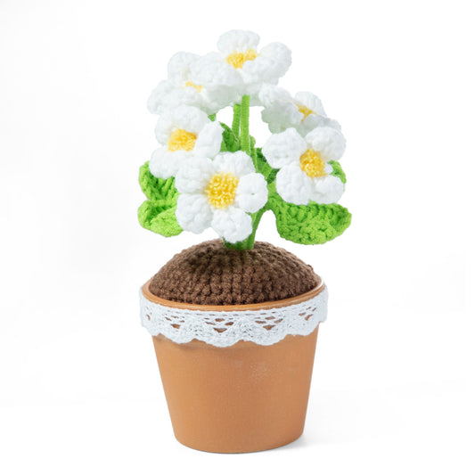 Lucky Flower Pot