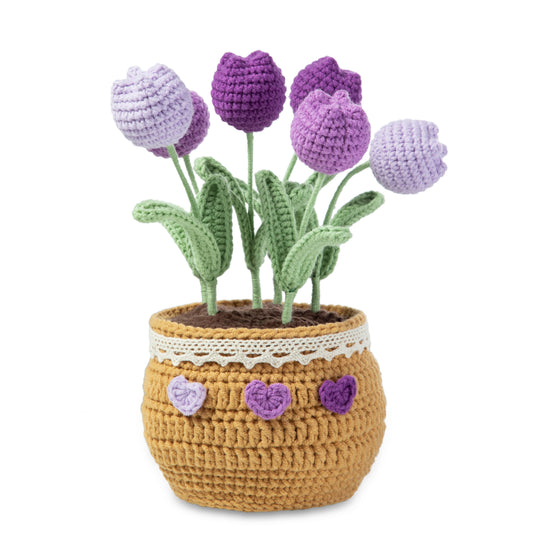 Tulip Pot